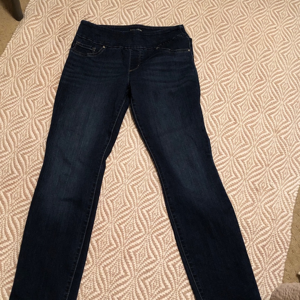 Lee Women's Deep Indigo Skinny Jeans